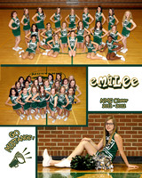 NMS Cheerleaders  2011-2012